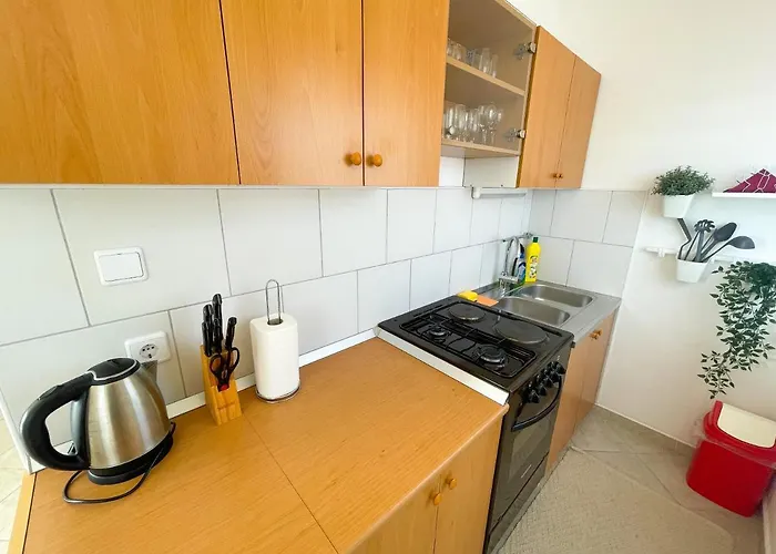 Nika 1 * ドラマリ